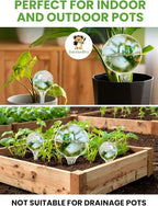 Plant Watering Globes Plastic Set of 4 - Automatic Plant Waterer Set for Indoor and Outdoor Plant Watering - Self Watering Planter Insert System with Plastic Watering Bulbs (4 pcs, Globes)
