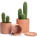 D'vine Dev Terracotta Pots for Plants, 8.3 Inch 10 Inch 12 Inch, Round Cylinder Planter Pot with Drainage and Saucer, 40-T-D-0