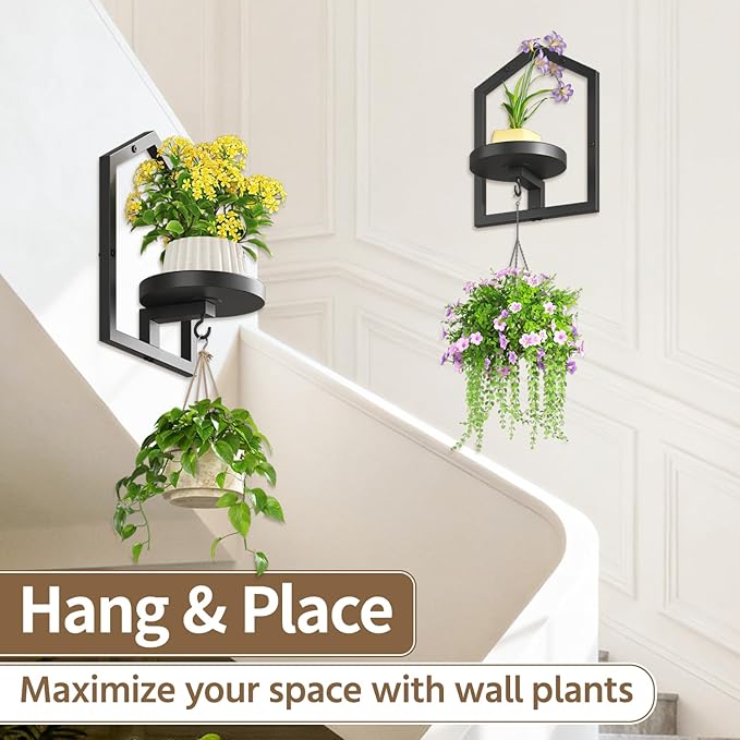 LASZOLA 2 Pcs Black Wall Mount Plant Shelves with Hangers for Indoor Flower, Heavy Duty Metal Window Floating Planter Holders Stand, Iron Modern Picture Frame Decorative for Bathroom Kitchen with Hook