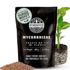 DYNOMYCO Granular Mycorrhizal Fungi Inoculant, 50g / 1.76oz – Boosts Root Growth, Yields & Nutrient Uptake – 900 Propagules/g, Concentrated Granules, & OMRI Listed – Biofertilizer for Plant Growth