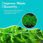 Live Fish Aquarium Plants - Hornwort Coontail - Floating or Rooted, Excellent Oxygenator, Perfect for Ponds or Aquariums, Great for Baby Fish, Guppy Grass Substitute