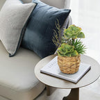 10" Large Succulents Plants Artificial in Wooden Pots, Potted Faux Succulent Arrangement with Woven Pots, Fake Desk Succulents Plants for Home Bathroom Shelf Table Indoor Decor