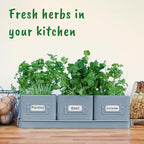 volila Herb Planter Indoor - Set of 3 Teal Blue Indoor Herb Garden Pots for Plants with Leather Handled Tray - Window Sill Plant Shelf - Herb Pots with Drainage Holes and Labels