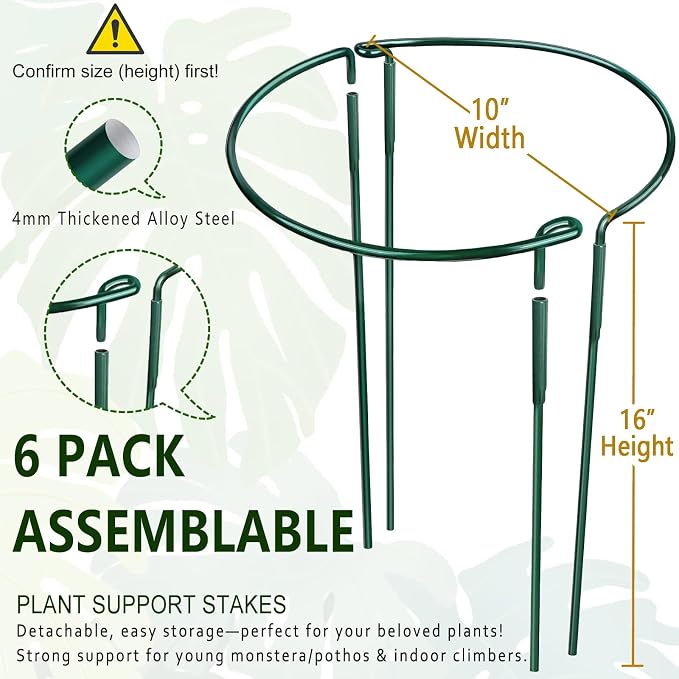 6 Pack Detachable & Assemblable Metal Plant Support Stakes - Garden Support Ring, Tomato Seedling Cage, Young Monstera/Pothos for Growing Indoor/Outdoor (10" W x 16" H)