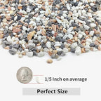 YISZM 10LB Succulent and Cactus Gravel Pebbles, 1/5 Inch Natural Decorative Polished Stones, River Rocks for Plants, Vases, Aquariums, Terrarium and Outdoor Gardening,Mixed Color