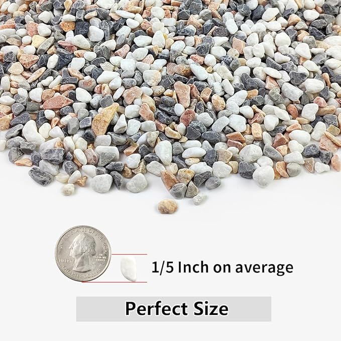 YISZM 10LB Succulent and Cactus Gravel Pebbles, 1/5 Inch Natural Decorative Polished Stones, River Rocks for Plants, Vases, Aquariums, Terrarium and Outdoor Gardening,Mixed Color