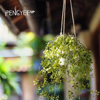 3 Packs Fake Hanging Plants with White Pots, 13" Artificial Hanging Plants for Wall Decor, Fake Plants Mandala Vine Indoor/Outdoor for Home Bathroom Bedroom Kitchen Office Room Decor