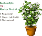 Cambaverd Trellis for Climbing Plants Indoor Outdoor, Natural Bamboo Trellis 24 Inch, 3 Pack Garden Trellis for Potted Plants, Ivy, Monstera, Houseplants