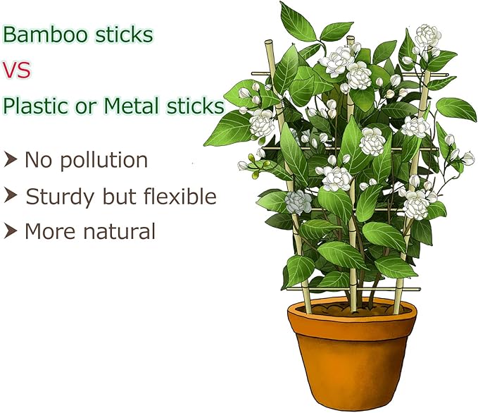 Cambaverd Trellis for Climbing Plants Indoor Outdoor, Natural Bamboo Trellis 24 Inch, 3 Pack Garden Trellis for Potted Plants, Ivy, Monstera, Houseplants