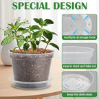 7 Pack 8 Inch Clear Nursery Pots with Saucer, Transparent Plastic Plant Pot with Drainage Holes, Sturdy Plant Starter Pots, Planter Pot for Planting Succulent Flower Herb Vegetable, Gardening Gifts