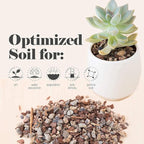 Bonsai Jack Succulent, Cactus and Bonsai Soil - Jacks Gritty Mix - 2 Gallons – Fast Draining – Fight Root Rot – Optimized pH