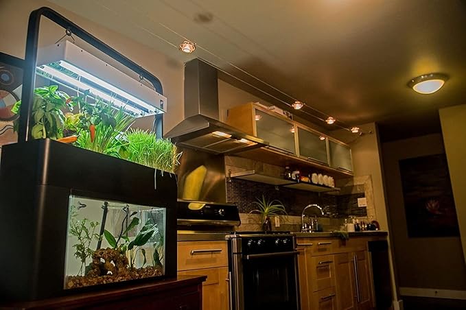 AquaSprouts Aquaponics Garden, Self-Sustaining Desktop Aquarium Hydroponics Ecosystem Kit, fits Standard 10 Gallon Aquariums