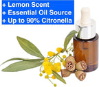 Lemon Eucalyptus (Corymbia citriodora) Live Plant - Fragrant Indoor/Outdoor Plant with Natural Insect Repellent Citronella Oil (4 eucal-Lemon sacs)