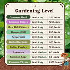 Seedboy Organic Non GMO 10 Herb Variety Pack: Basil, Cilantro, Mint, Oregano, Parsley, Thyme, Chives, Dill, Sage, Rosemary for Planting Indoor and Outdoor, USDA Certified (10 Herb Variety Pack)