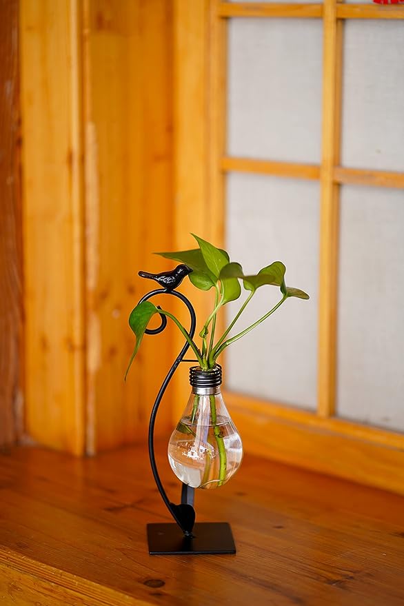 Plant Terrarium, Hydroponic Vases for Home Decoration, Modern Creative Bird Terrarium Stand, Ideal Gifts