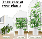 ZOUTOG Trellis for Climbing Plants Indoor 4 Pack 30 Inch,Rustproof Metal Garden Trellis for Potted Plants,Houseplant Support Indoor Outdoor for Ivy Pothos Monstera Hoya Flower Vines(House Shape)