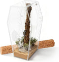 Jumping Spider Enclosure, Magnetic Door Acrylic Terrarium with Feeding Dish & Landscape Stick for Tarantula Snails Insects Reptiles Plants, Coffin Shape Tabletop Decor 4" x 4" x 8"