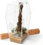 Jumping Spider Enclosure, Magnetic Door Acrylic Terrarium with Feeding Dish & Landscape Stick for Tarantula Snails Insects Reptiles Plants, Coffin Shape Tabletop Decor 4" x 4" x 8"