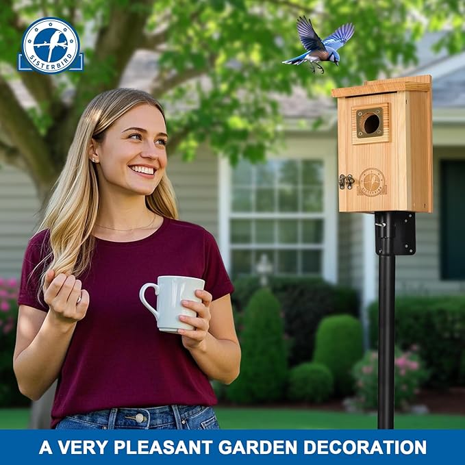 SISTERBIRD 2 Pack Bird Houses for Outside Clearance with Copper Guard, Cedar Bird House Outdoor, Bluebird Finch Swallow Wren Chickadee Assembly Required