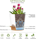 7/6.5/6/5.5/5/4 inch Self Watering Pots for Indoor Outdoor Plants, 6 Pack Plastic Flower Planters with Drainage Holes and Removable Saucers, Plant Pots with Wicking Rope, White Brown