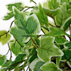 Hollyone Artificial English Ivy Hanging Plants 2pcs Faux Ivy Vines with Black Pot Small Fake Potted Greenery Plant for Indoor Home Aesthetic Living Room Bathroom Desk Shelf Office Decor