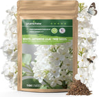 White Japanese Lilac Tree Seeds - 100 Non-GMO Heirloom Seeds for Planting, Fragrant Flowering Tree for Pollinator Gardens, Landscaping & Privacy Screens, USDA Zones 3-7