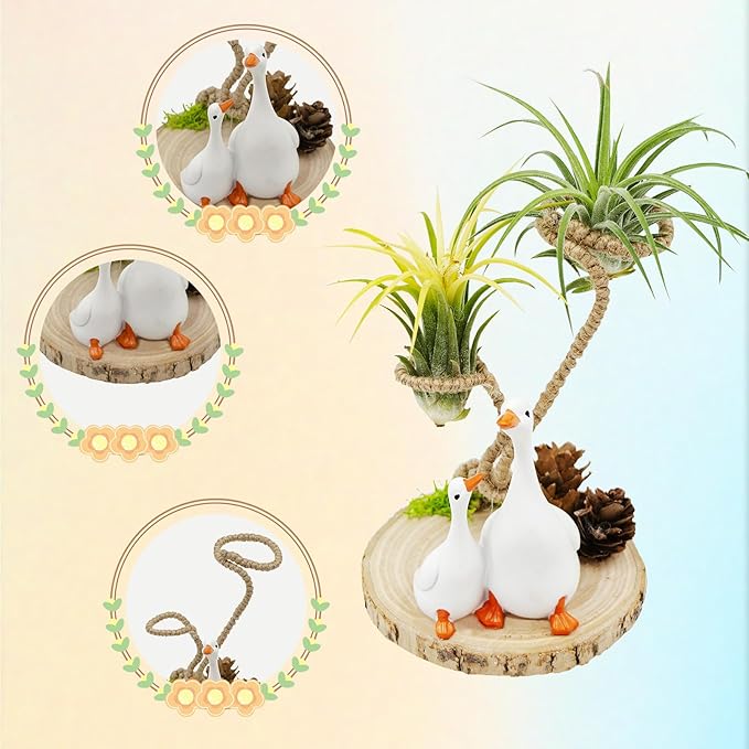 Air Plant Holders, Unique Air Plant Holders with Charming Decor, Home Decor for Living Room, Bedroom, Office, Table, Bookshelf, Gift, Office Decoration Supplies