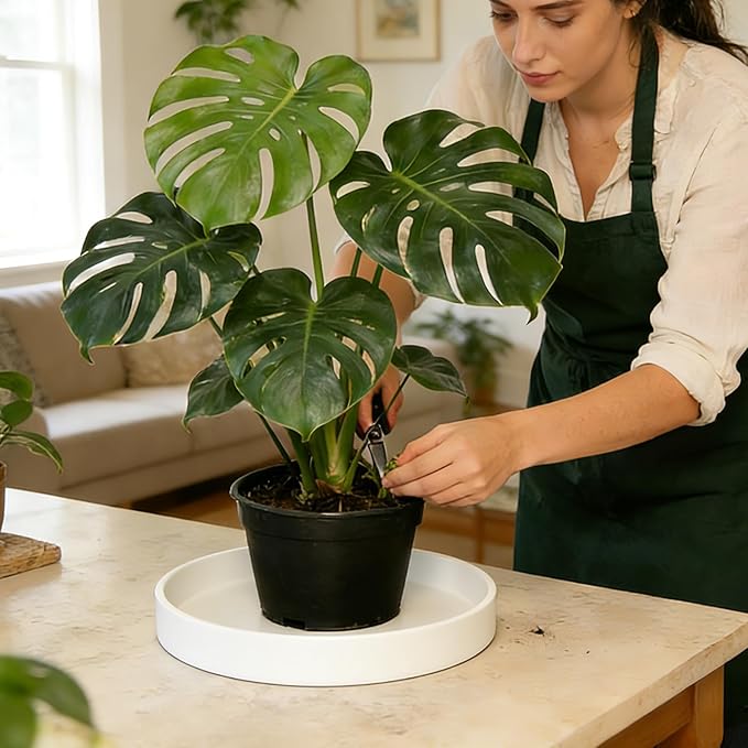 2 Pack 12 inch Plant Saucer Drip Tray, Heavy Sturdy Plastic Planter Flower Pot Drainage Tray Plate Saucers for Indoor Outdoor Garden, Plant Water Drip Trays for pots Base (12", Creamy White)