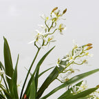 3pcs Artificial Cymbidium Orchid Flowers That Look Real, Faux White Orchid Stems for Vases, Silk Flowers Arrangement for Home Office Farmhouse Indoor Tables Centerpieces Decoration (White)