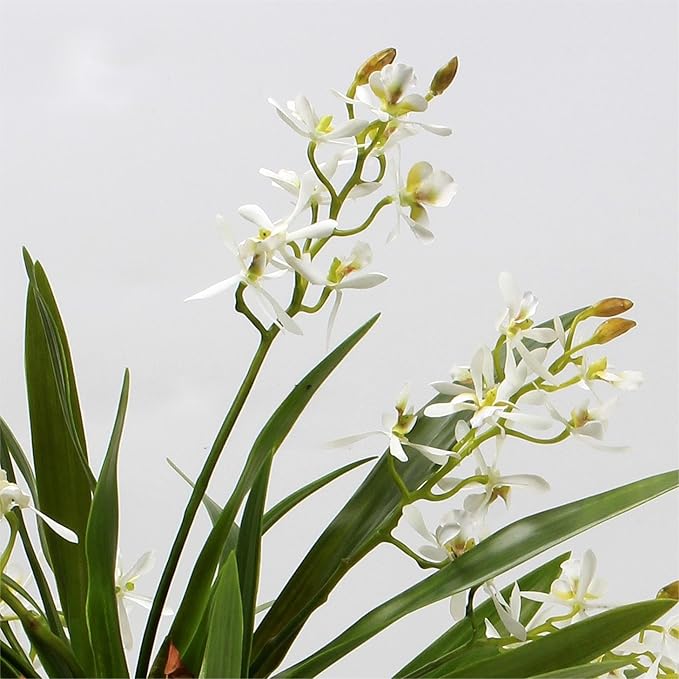 3pcs Artificial Cymbidium Orchid Flowers That Look Real, Faux White Orchid Stems for Vases, Silk Flowers Arrangement for Home Office Farmhouse Indoor Tables Centerpieces Decoration (White)
