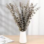 Tavkite 16 Pcs Dried Eucalyptus Stems, 17'' Natural Fresh Eucalyptus Leaves Branches Hanging for Shower, Preserved Real Plant Live for Home SPA Wall Bathroom Wedding Party Vase Decor