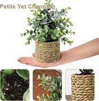 Small Fake Potted Plants: 9 Inches Artificial Plants with Seagrass Handwoven Planters, Indoor Farmhouse Decorations, Eucalyptus Plant for Home Bathroom Office Shelf Tabletop Desk Room Decor