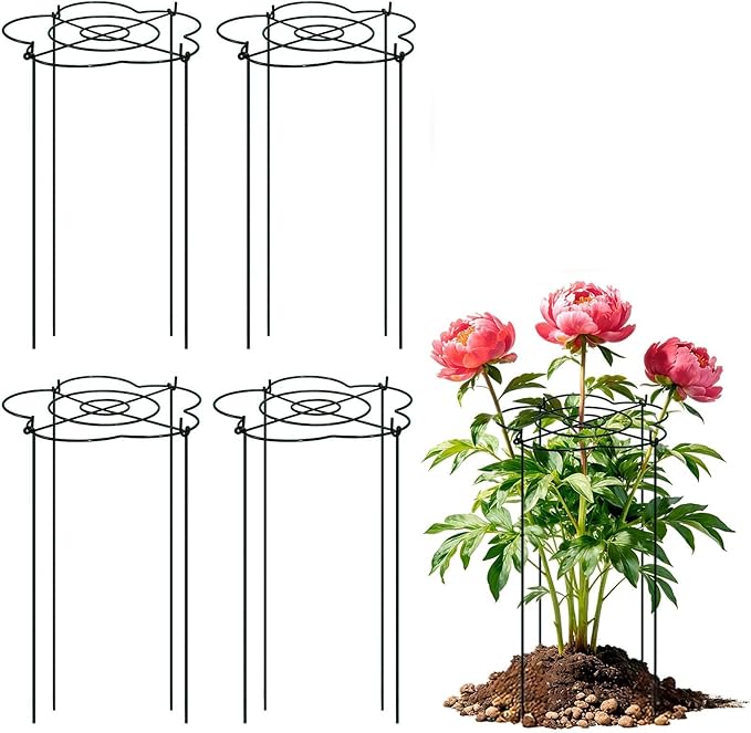 Peony Cages and Supports 4 Pack, 13" Dx24 H Grow Through Plant Supports, Heavy Duty Metal Plant Support Cage for Outdoor Flowers, Tomatoes, Hydrangeas, Cucumbers & Strawberries