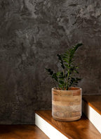 Serene Spaces Living Mango Wood Cachepot Set of 4, 9" Diameter & 8.5" Tall, Suitable for Indoor Potted Plants