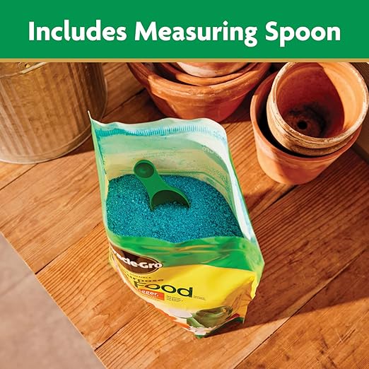 Miracle-Gro Water Soluble All Purpose Plant Food - Fertilizer For All Indoor or Outdoor Plants including Roses, Flowers, Vegetables, Houseplants, Trees, and Shrubs, 5.5 lb. Bag
