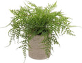 Briful Small Fake Plant Potted Plants Artificial Decor Plastic Asparagus Ferns Plant Faux Plants in Pots for Home Living Room Bedroom Desk Shelf Farmhouse Decoration