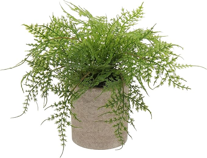 Briful Small Fake Plant Potted Plants Artificial Decor Plastic Asparagus Ferns Plant Faux Plants in Pots for Home Living Room Bedroom Desk Shelf Farmhouse Decoration