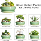 Succulent Pots 6 Inch - Ceramic Bonsai Pots for Indoor Outdoor, Shallow Ceramic Planters with Drainage Hole and Saucer, Round Small Bonsai Tree Pot, Home Decor, Plant Lover Gift, Light Green