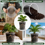 BTPLASTIK 3 Gallon Clear Nursery Pots with Saucers 5P, 10 Inch Round Plastic Plant Pots with Drainage Holes