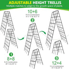 2 Pack 49"x16.3" Adjustable Garden Trellis for Climbing Plants Outdoor, Heavy Duty Rust-Proof Metal Cucumber Trellis A Frame Trellis for Raised Bed Pea Tomatoes Grape Vegetables