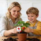 Whaline 20Pcs Acrylic Vegetable Fruit Plant Label Signs Garden Markers 20 Styles Watercolor Vegetable Fruit Waterproof Potted Plant Stake Tags with Names for Nursery Indoor Outdoor Garden Decor