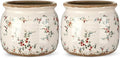 2 Pcs Vintage Planter Ceramic Plants Pot with Drainage Ice Crack Scroll Flower Vase Pot for Indoor Outdoor Plants Home Kitchen Decor Gifts(Rustic Rose,5.9")