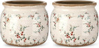 2 Pcs Vintage Planter Ceramic Plants Pot with Drainage Ice Crack Scroll Flower Vase Pot for Indoor Outdoor Plants Home Kitchen Decor Gifts(Rustic Rose,5.9")