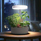 Grow Lights for Indoor Plants Small Potted - Full Spectrum, Auto 3/9/12H Timer, 10-Level Dimming & Adjustable Height - Compact Grow Light for Succulents, Herbs, Foliage in Home/Office (White,2PACKS)