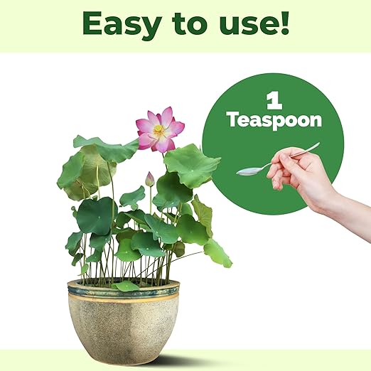 Water Plant Fertilizer – Liquid Plant Food for Healthy Aquatic Growth, Stronger Roots & Vibrant Water Plants, 8 oz