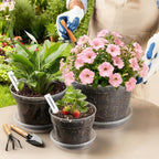 10/8/6 Inch Clear Plant Pots with Drainage Hole 12 Pack, Transparent Sturdy Plastic Nursery Pots with Saucers, Plant Label, Gardening Gloves, Plant Starter Pots for Planting Seed Herb Vegetable Flower