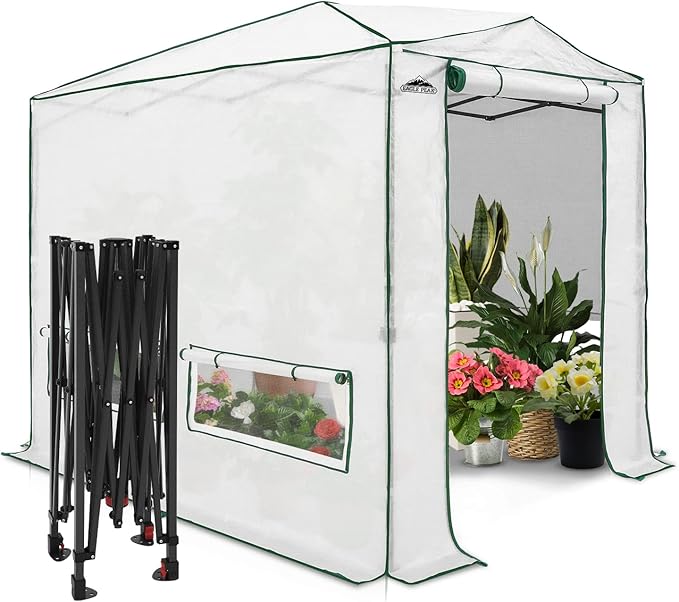 EAGLE PEAK 8x6 Portable Walk in Greenhouse, Pop Up Indoor Outdoor Greenhouse, Green House Kit with Zippered Roll-Up Doors and Windows, Woven Cover, Translucent