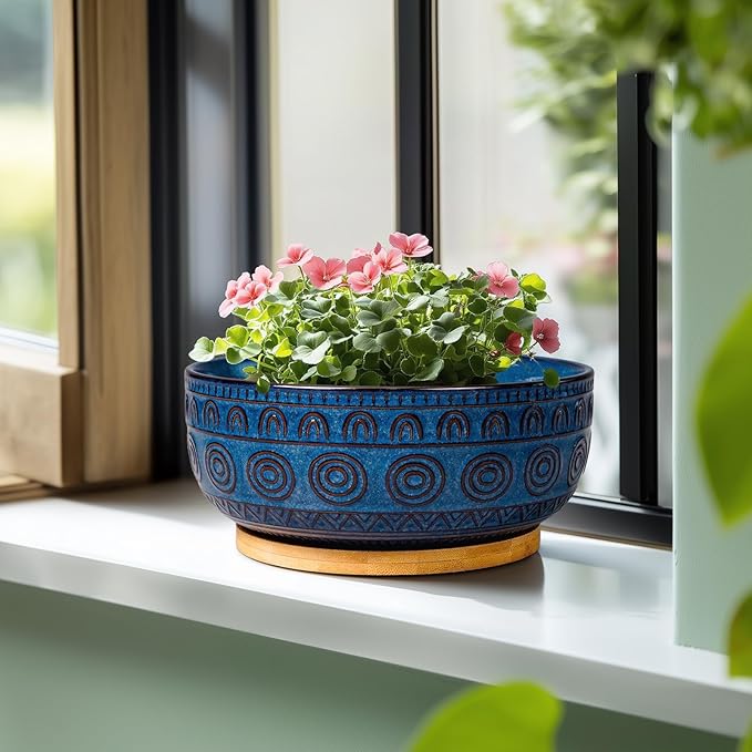 Eightpot Bonsai Pots 8 Inch - Ceramic Succulent Pots for Indoor Plants, Shallow Round Planters with Drainage Hole and Saucer, Boho Bonsai Bowl, Home Decor, Blue