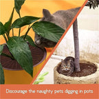 Plant Pot Grids 6PCS Plant Pot Soil Guard with Nails Grid Flower Cover Baby Safety Mouse Garden Home Protector(Brown M Round)