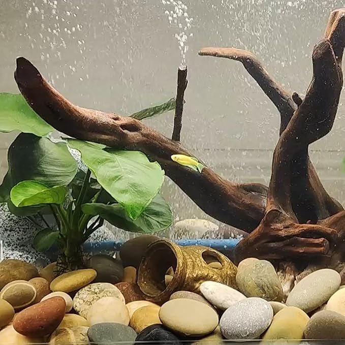 FANTIAN 10 lbs River Rocks, 2-3 Inch Natural Pebbles for Plants, Landscaping, Garden, Aquarium, Backyard and Indoor Water Fountains